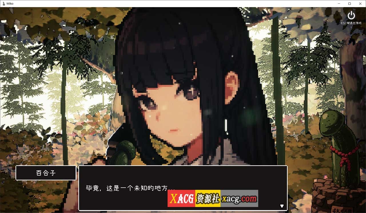 11075735726 11075735726
